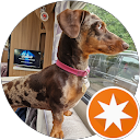 Kevin Nally profile picture